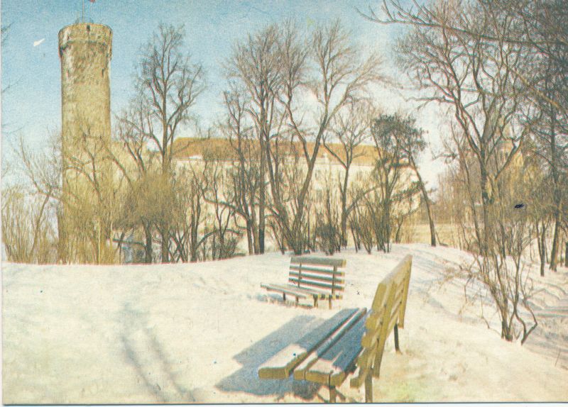 Postkaart. Uusaasta. ENSV Riiklik Loodusmuuseum. 1981.