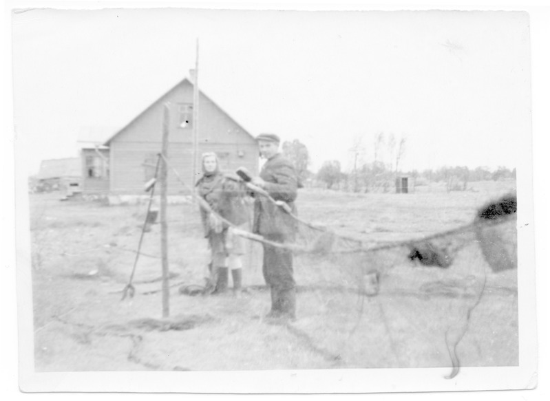 Leida ja Valter Tomingas panevad Püünsi külas angerjamõrda vabedele kuivama, 1947