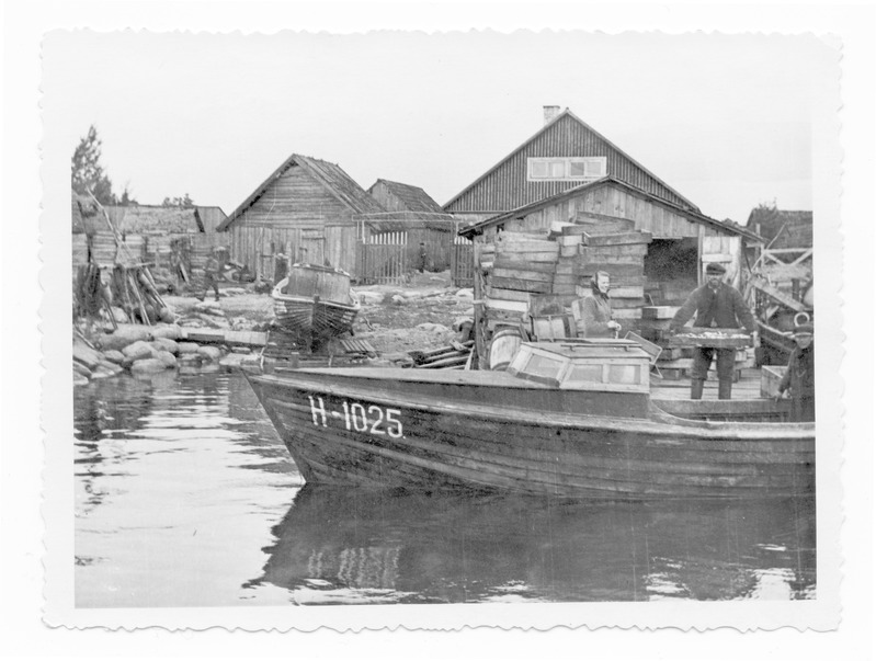 Vaade Prangli sadamasillale 1954.a. või 1955.a.