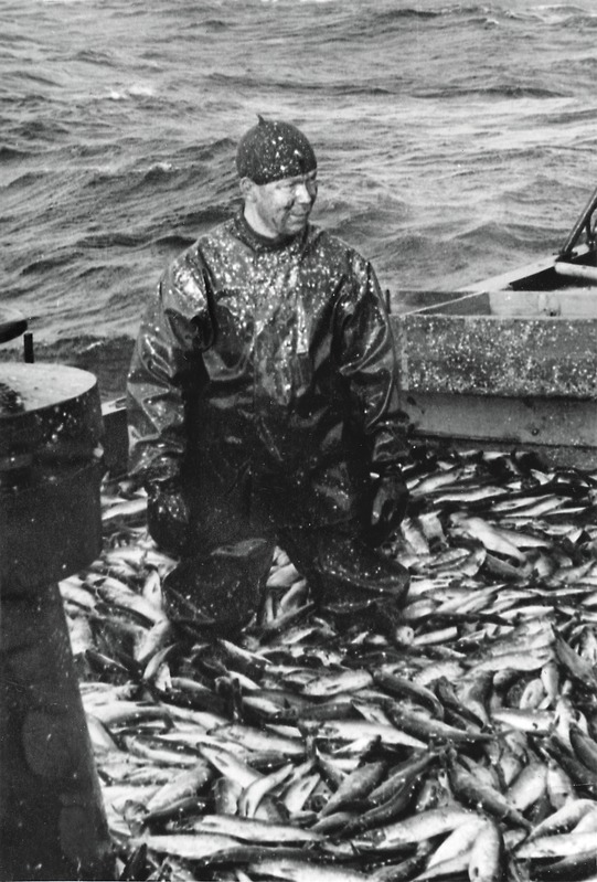 S.M.Kirovi nimelise kalurikolhoosi kalur Gustav Malmberg kalalastiga