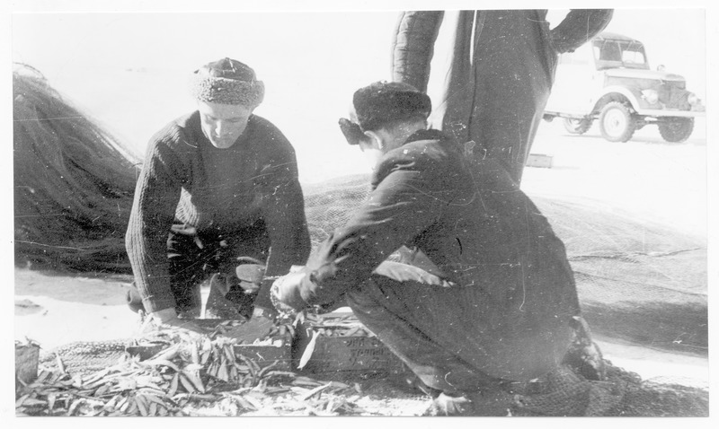 "Võidu Tee" kolhoosi lülivanem Kalju Püü