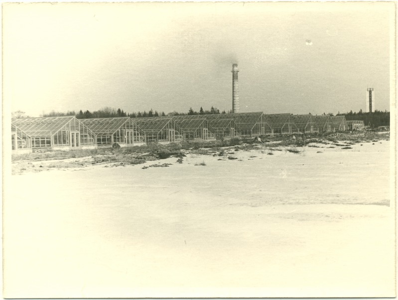 Vaade S.M.Kirovi nimelise kalurikolhoosi aiandile.