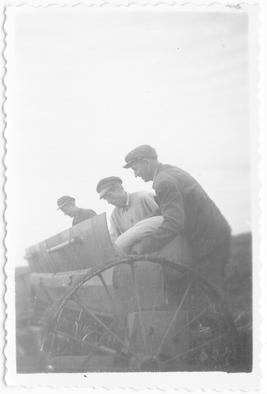 Kevadkülv kolhoosis "Ühisjõud" 1954.a.