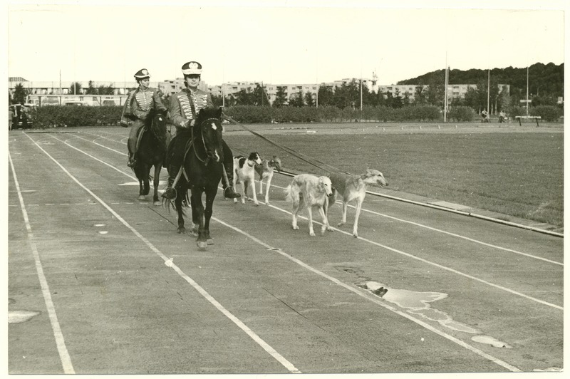 Kirovi NKK staadionil 1.09.1986 Moskva koerteklubi show. Koerte demonstrartsioon.