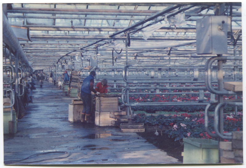 Pirita LNS aiandi sisevaade