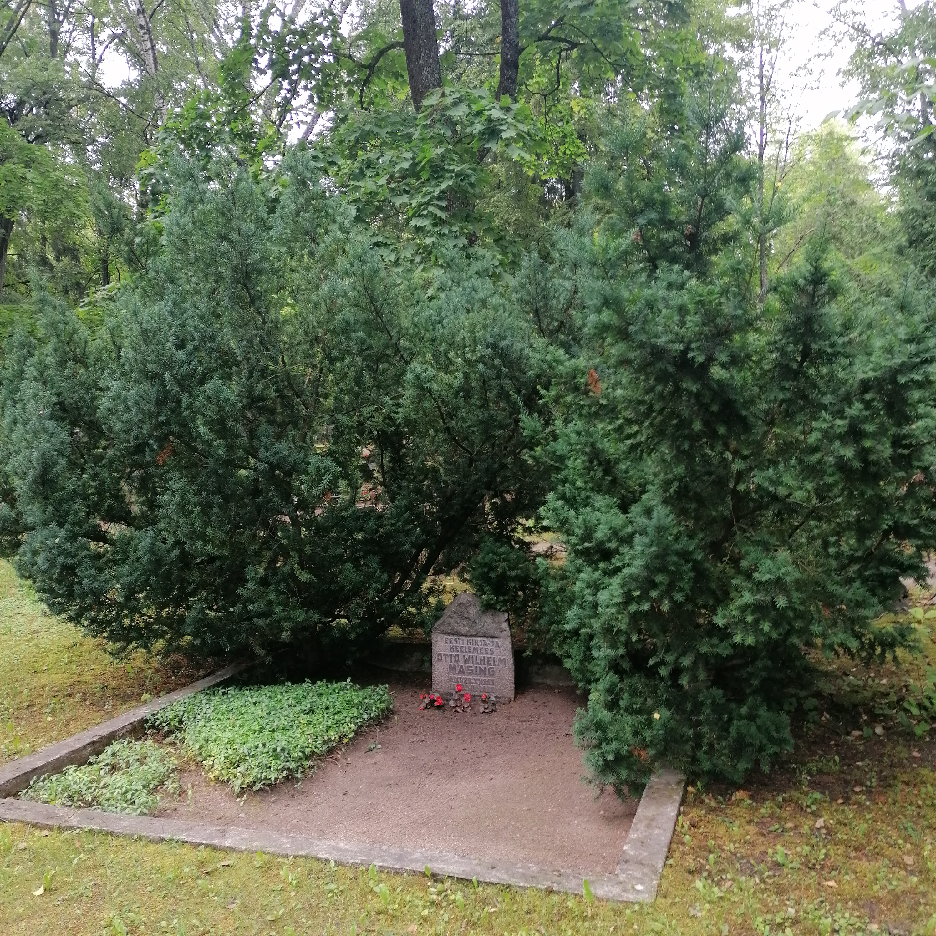 Otto wilhelm masing, matmis paik.