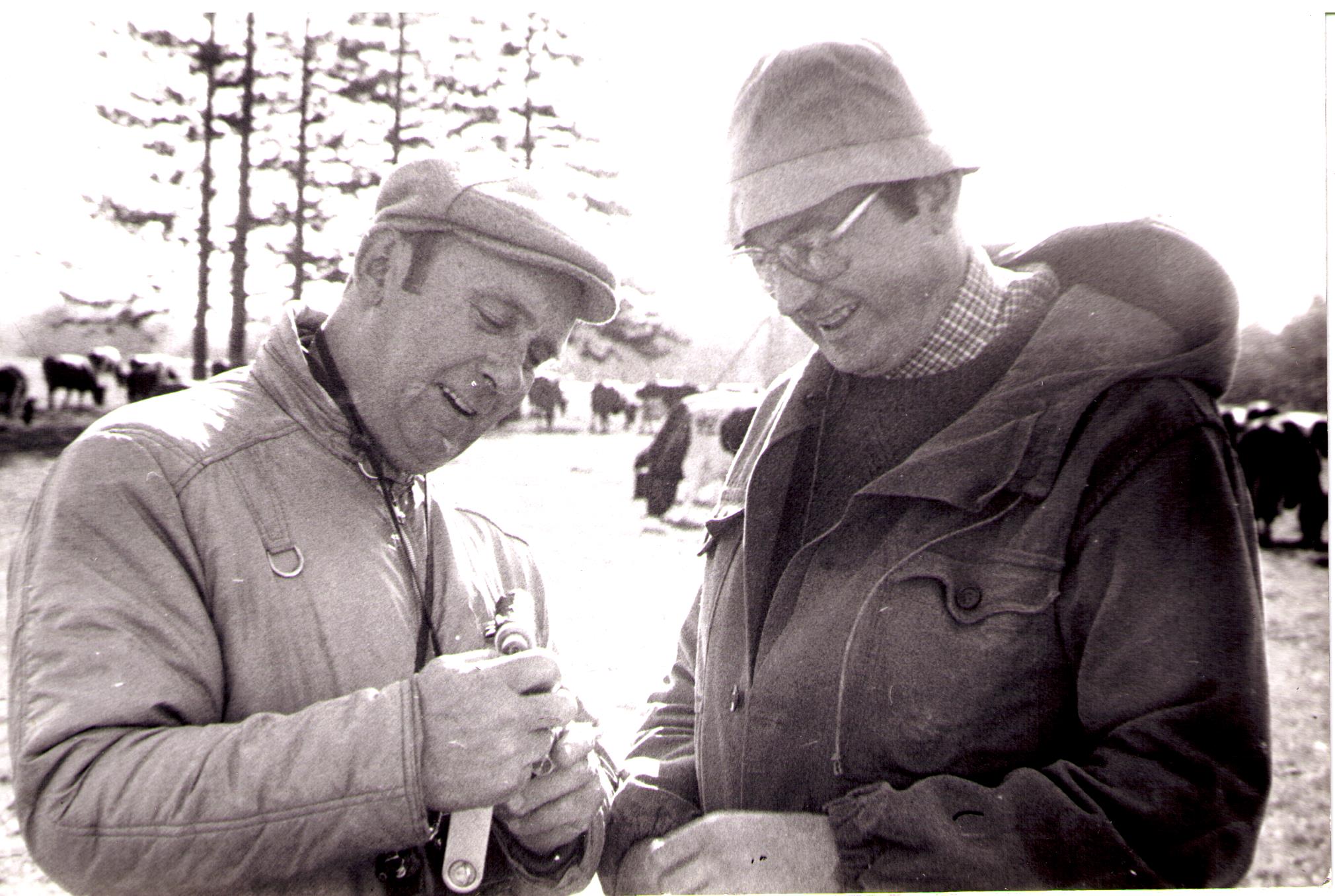 Konju tammikut istutamas