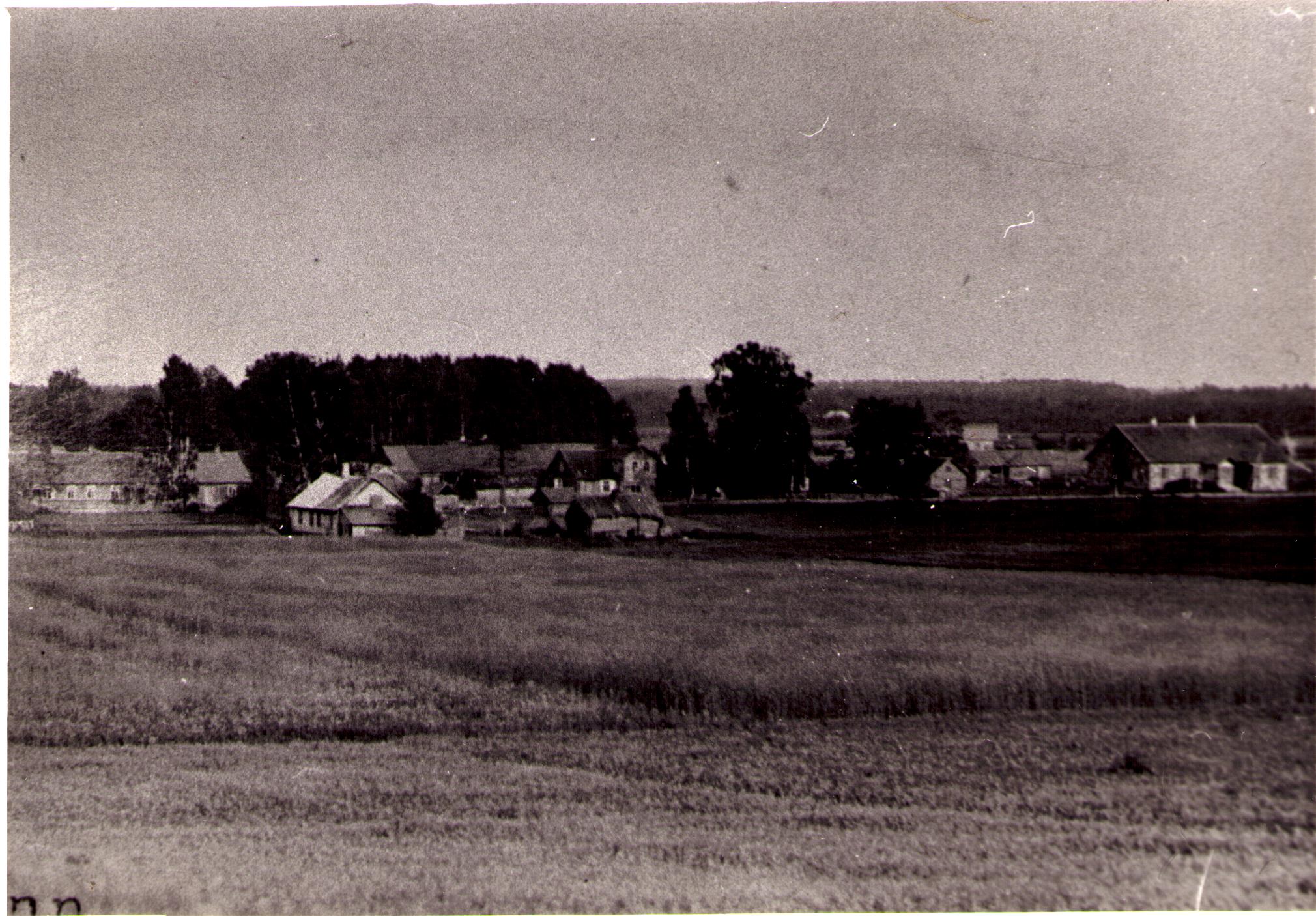 Tudulinna mõisamännik