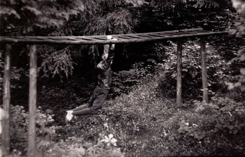 Alutaguse Metsamajand. Rippimas