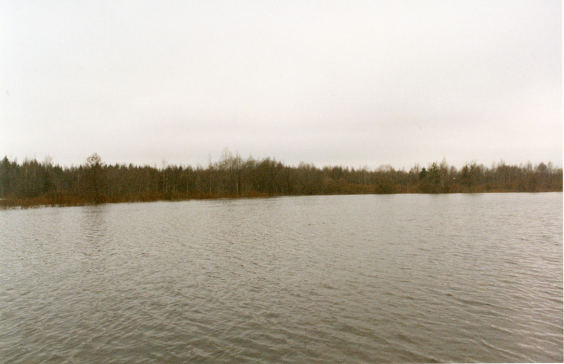 Loodusvaated lumesulamise tagajärjel tekkinud üleujutus 1999. a kevadel