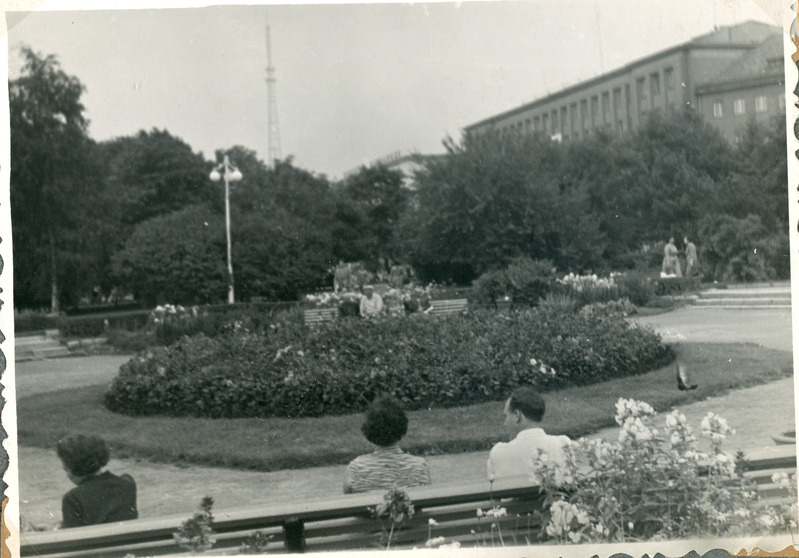 Park Tallinnas