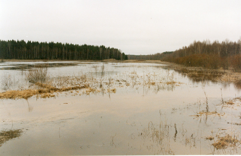 Loodusvaated lumesulamise tagajärjel tekkinud üleujutus 1999. a kevadel