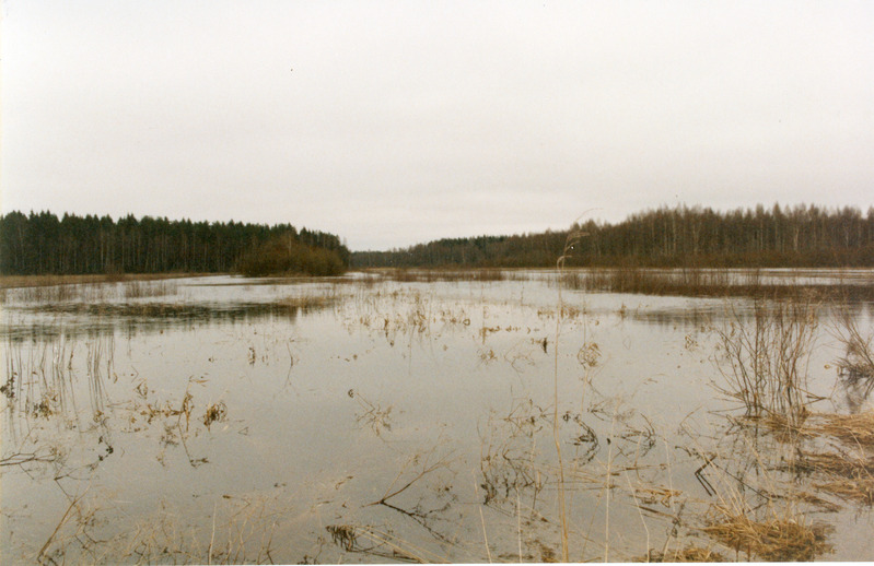 Loodusvaated lumesulamise tagajärjel tekkinud üleujutus 1999. a kevadel