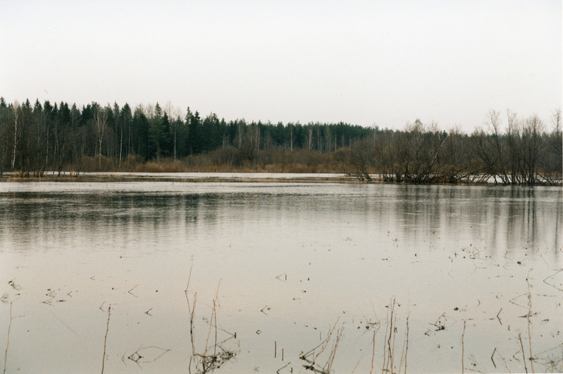 Loodusvaated lumesulamise tagajärjel tekkinud üleujutus 1999. a kevadel