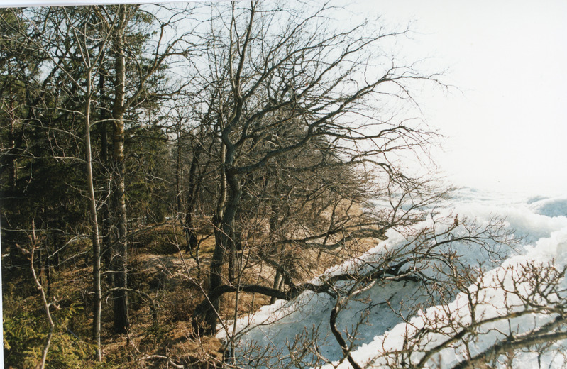 Loodusvaated rüsijää Peipsi järve ääres 19.04.1999