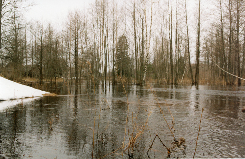 Loodusvaated lumesulamise tagajärjel tekkinud üleujutus 1999. a kevadel