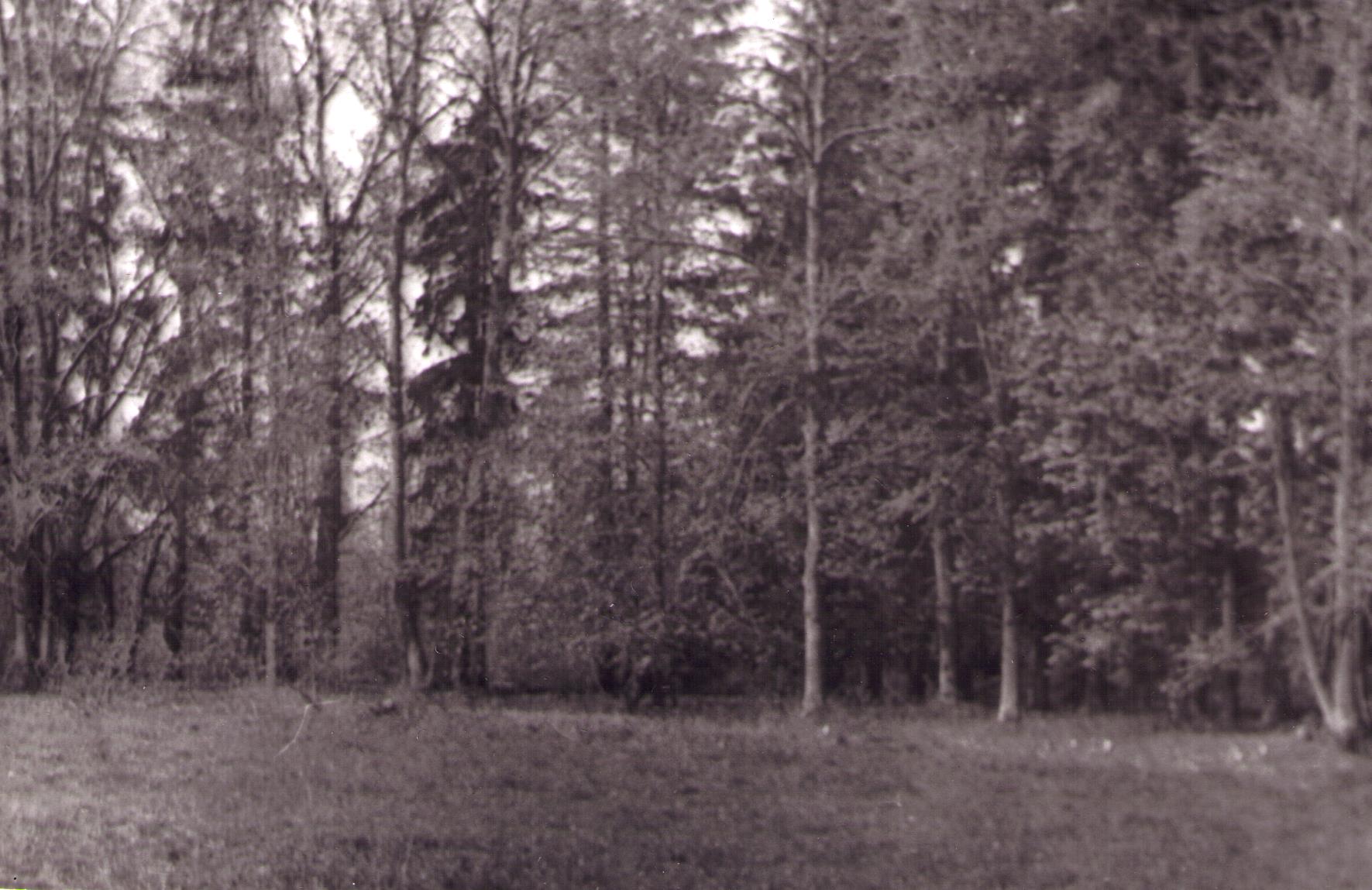 Ekskursioonil. Pootsiku mõisapark