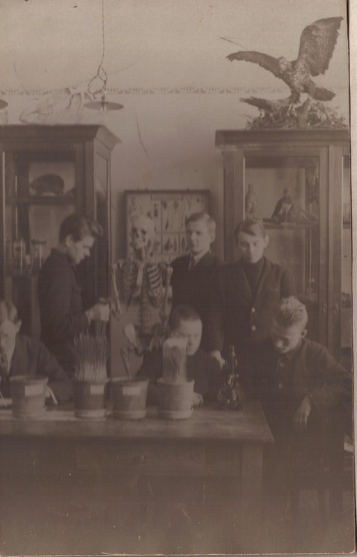 Taru Ülikooli zoloogiakabinet