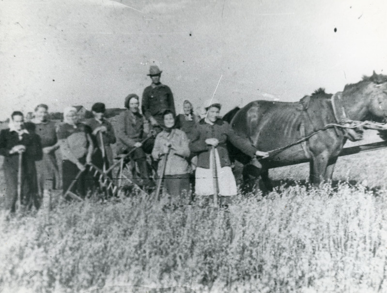 1950.-date algul, kolhoos "Ühisjõud"