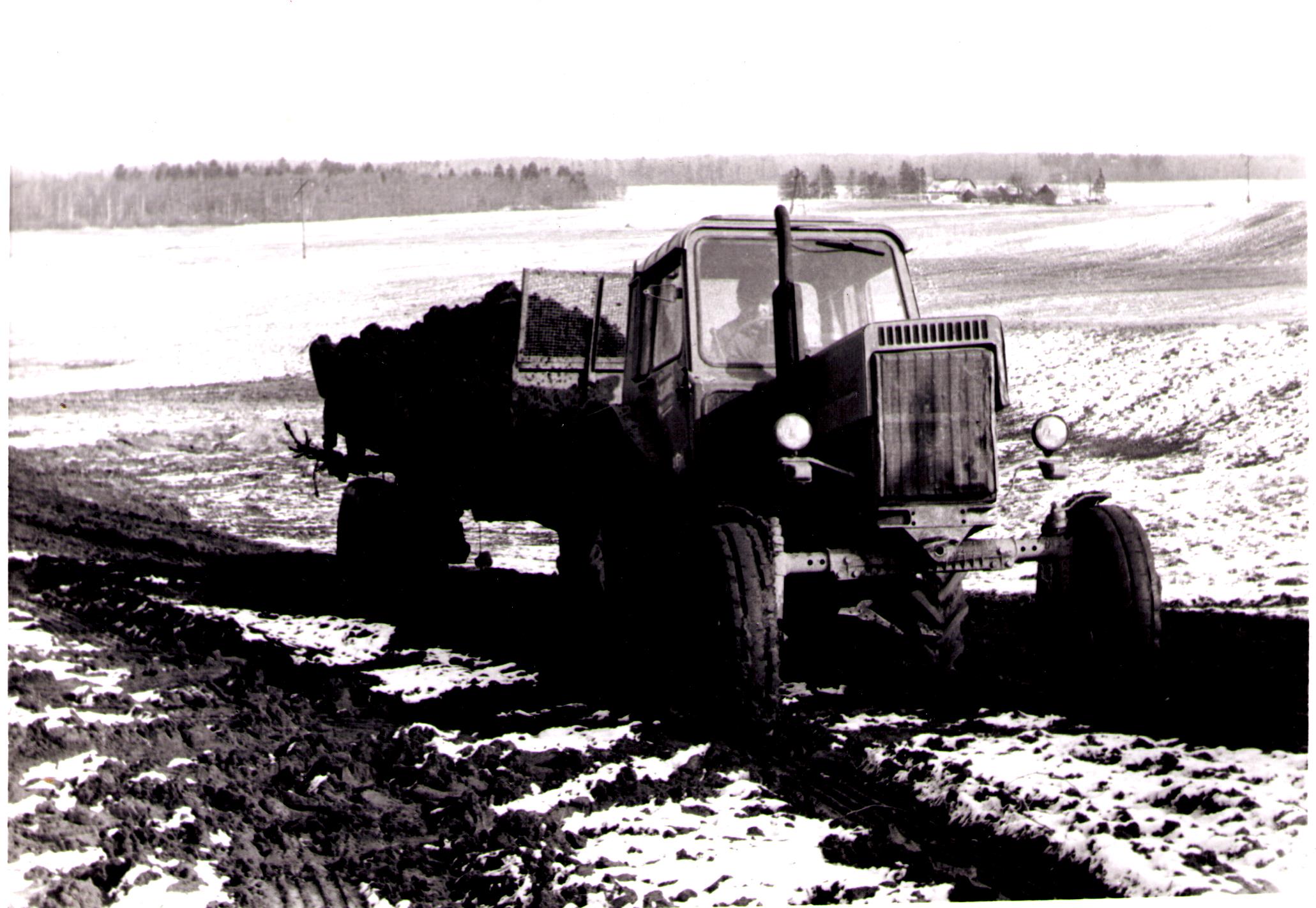 Iisaku sovhoosi põllul sõnniku laotamine