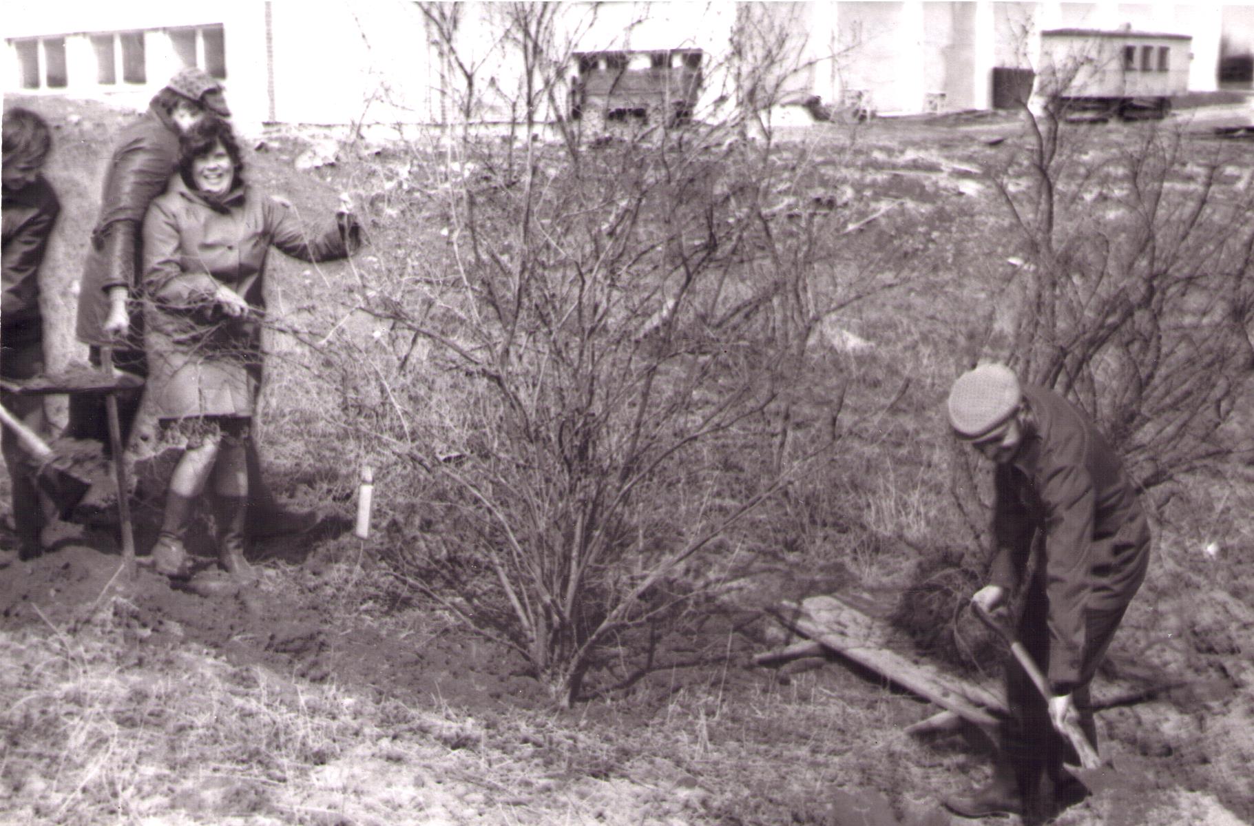 Iisaku Keskkooli dendropargi rajamine. Õpetajad Tiina Sabalotni, Rein Aidma ja õpilased