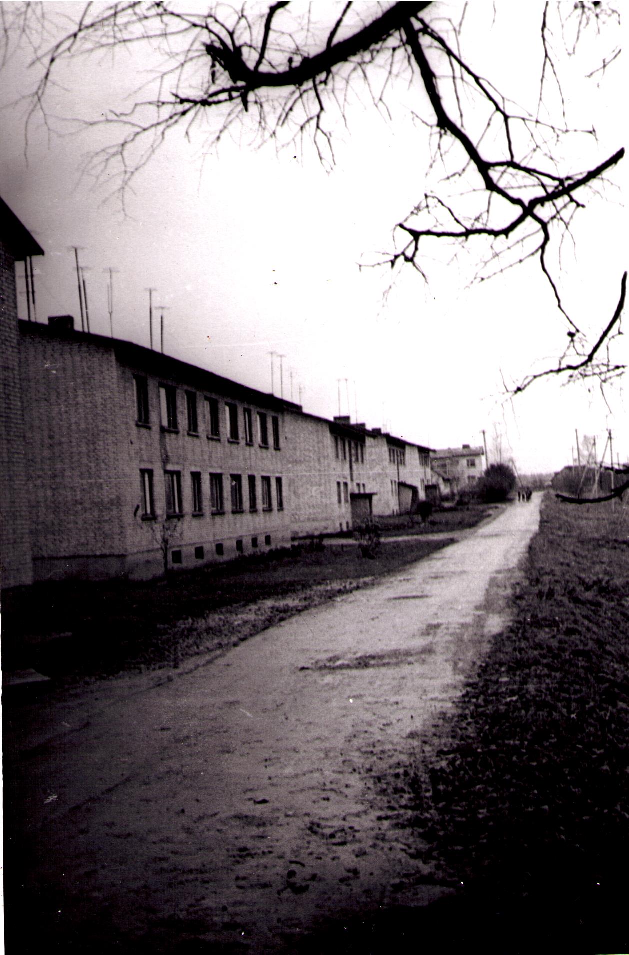 Iisaku Näidissovhoosi elamud Tartu mnt ääres