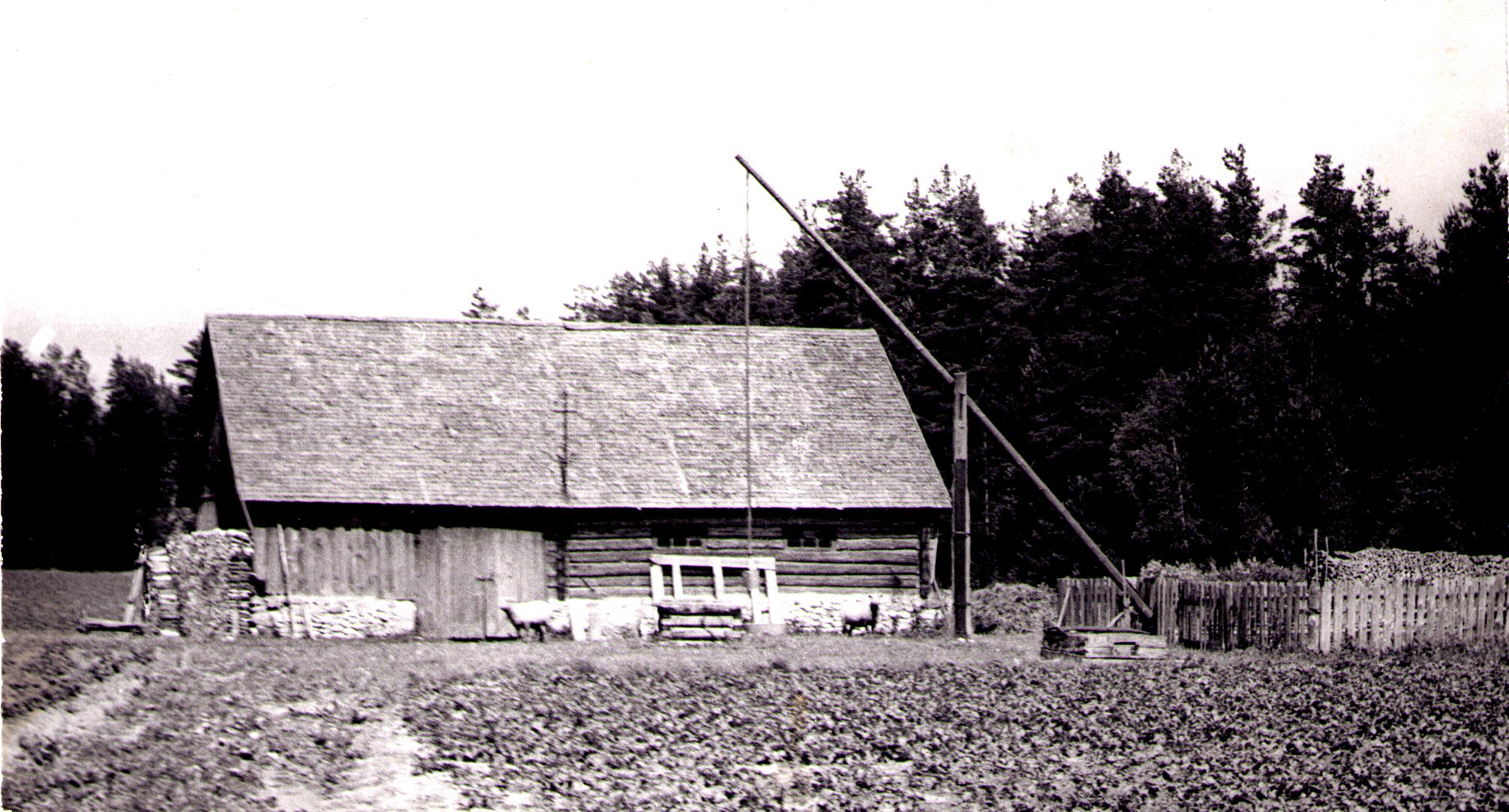 Varesmetsa küla. Gerhard Pääbuse majapidamishoone