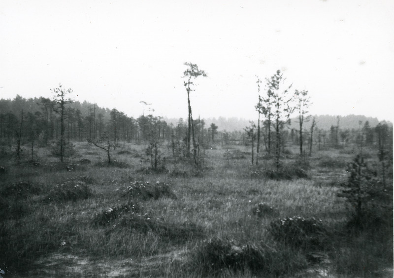 Muraka raba. Botaanilis-zoloogilised kaitsealad.