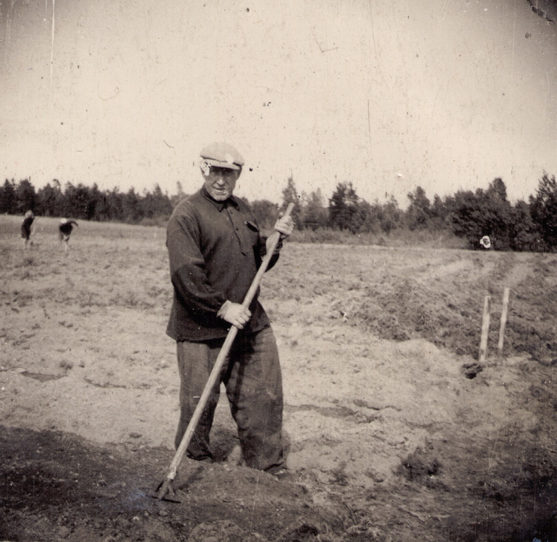 Johannes Laan