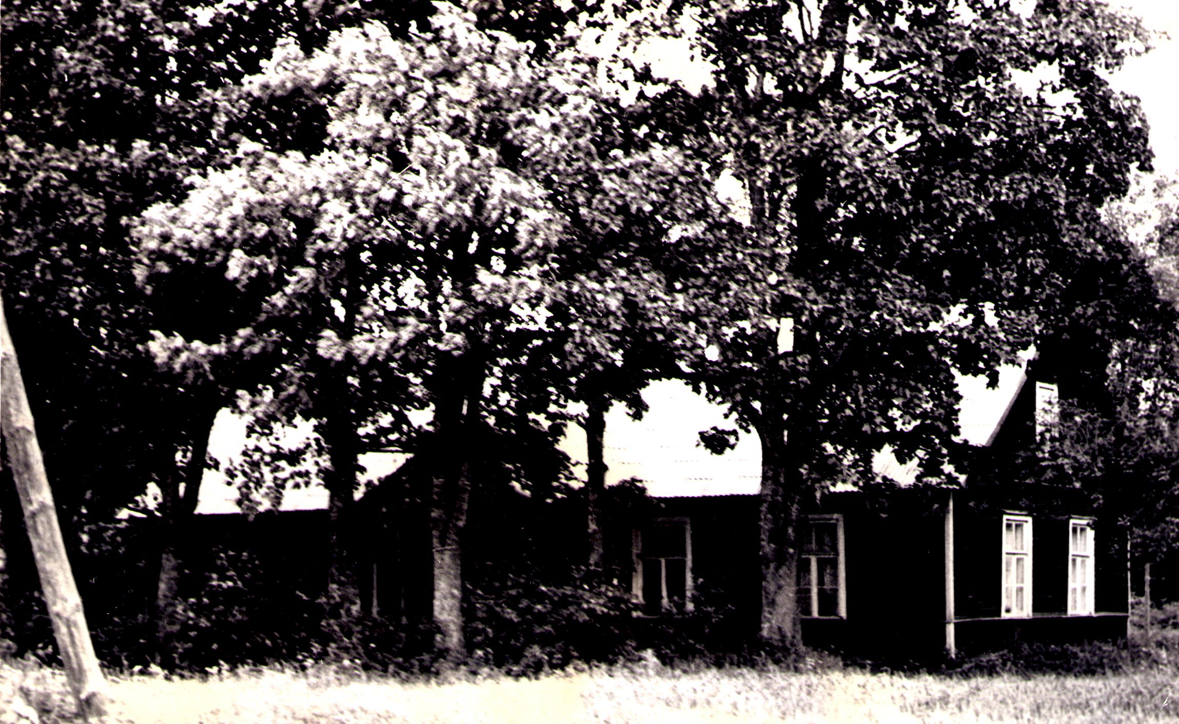 Varesmetsa koolimaja