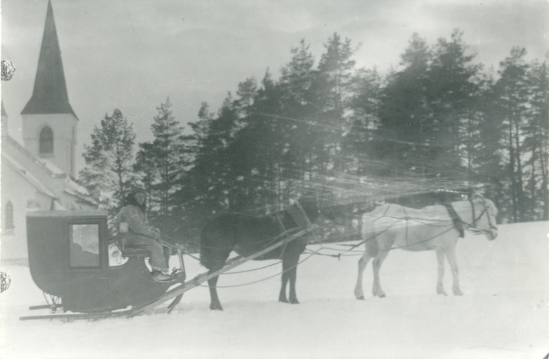 Krahvinna tõld ja Klaari valge hobune