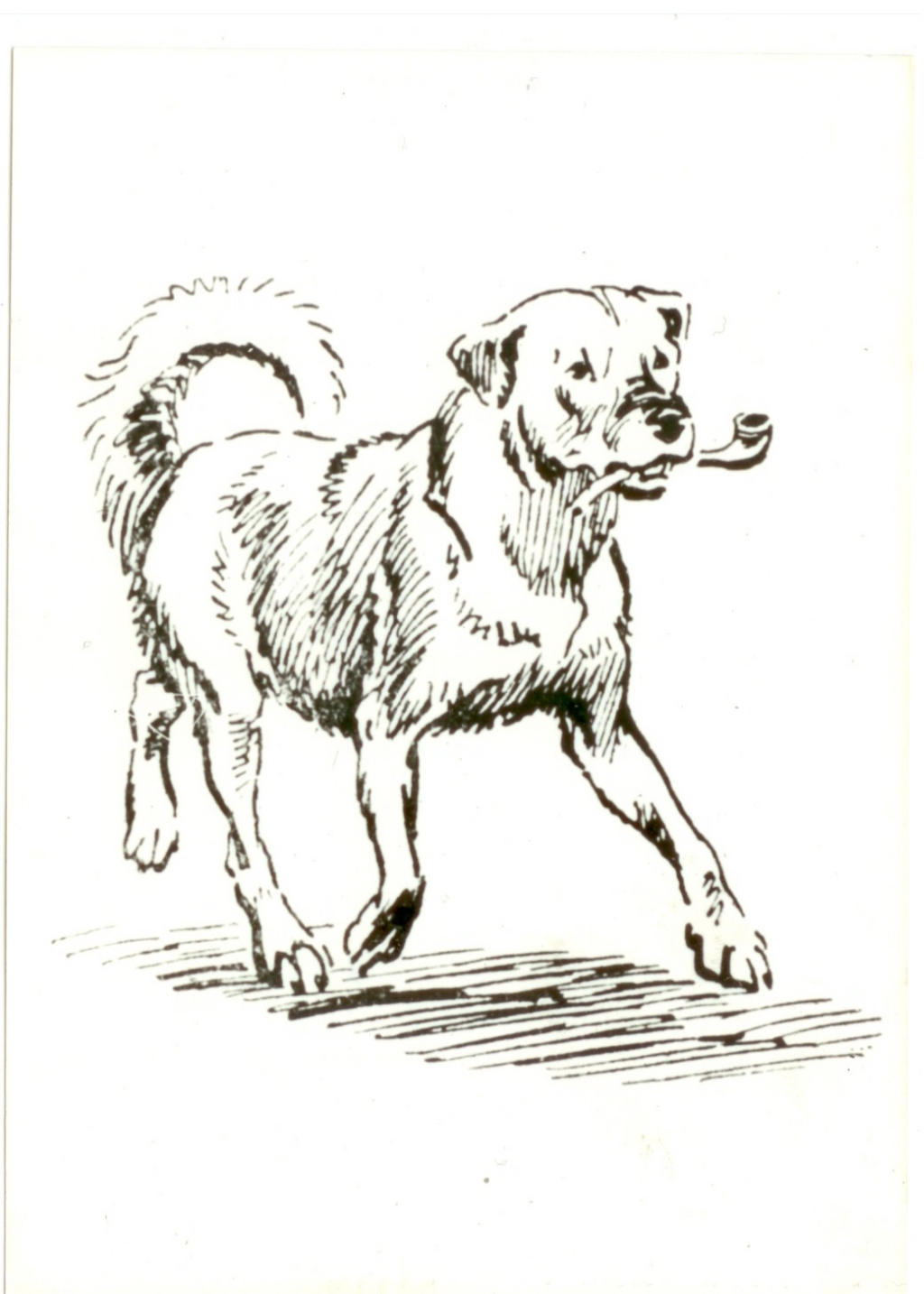 R.Tiituse illustratsioon raamatule "Meremees Murka"Tln.,1958