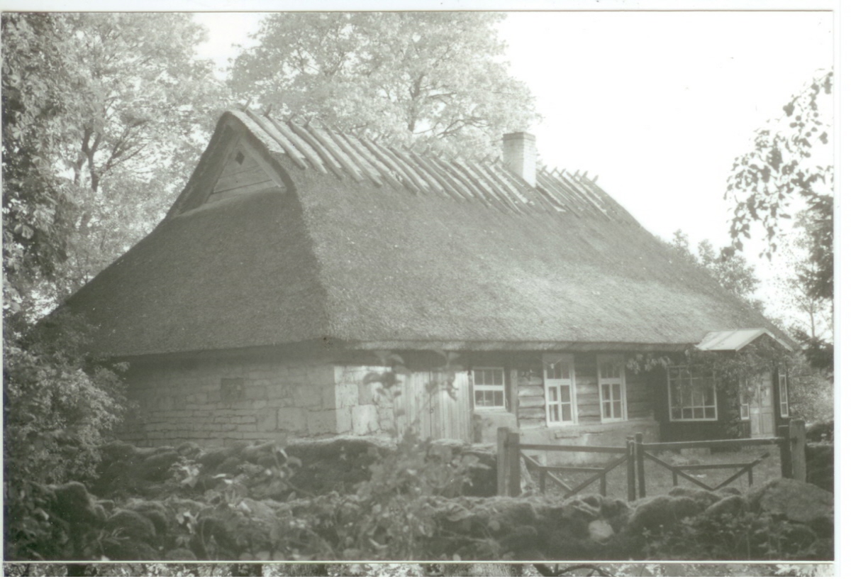 Koguva Kopli