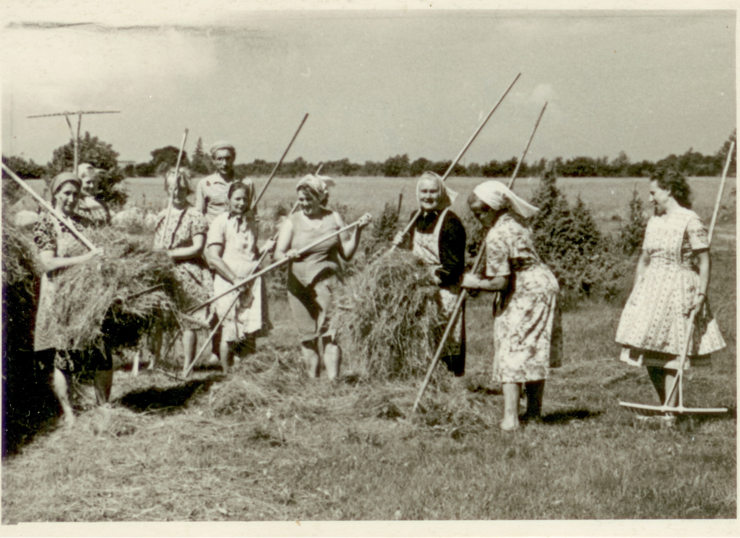 Heinalised kolhoosiajal