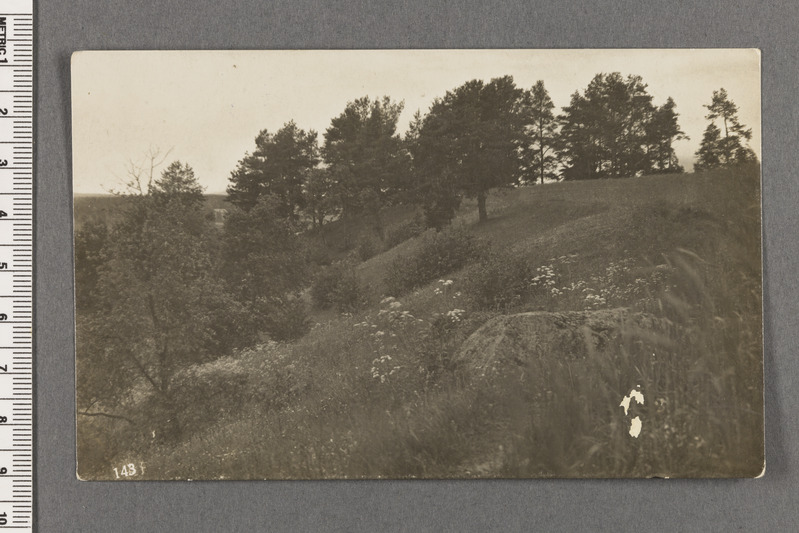 Maastikufoto. Saadetud postkaardina, tagaküljel tekst neiule ja Scout pataljoni tempel.