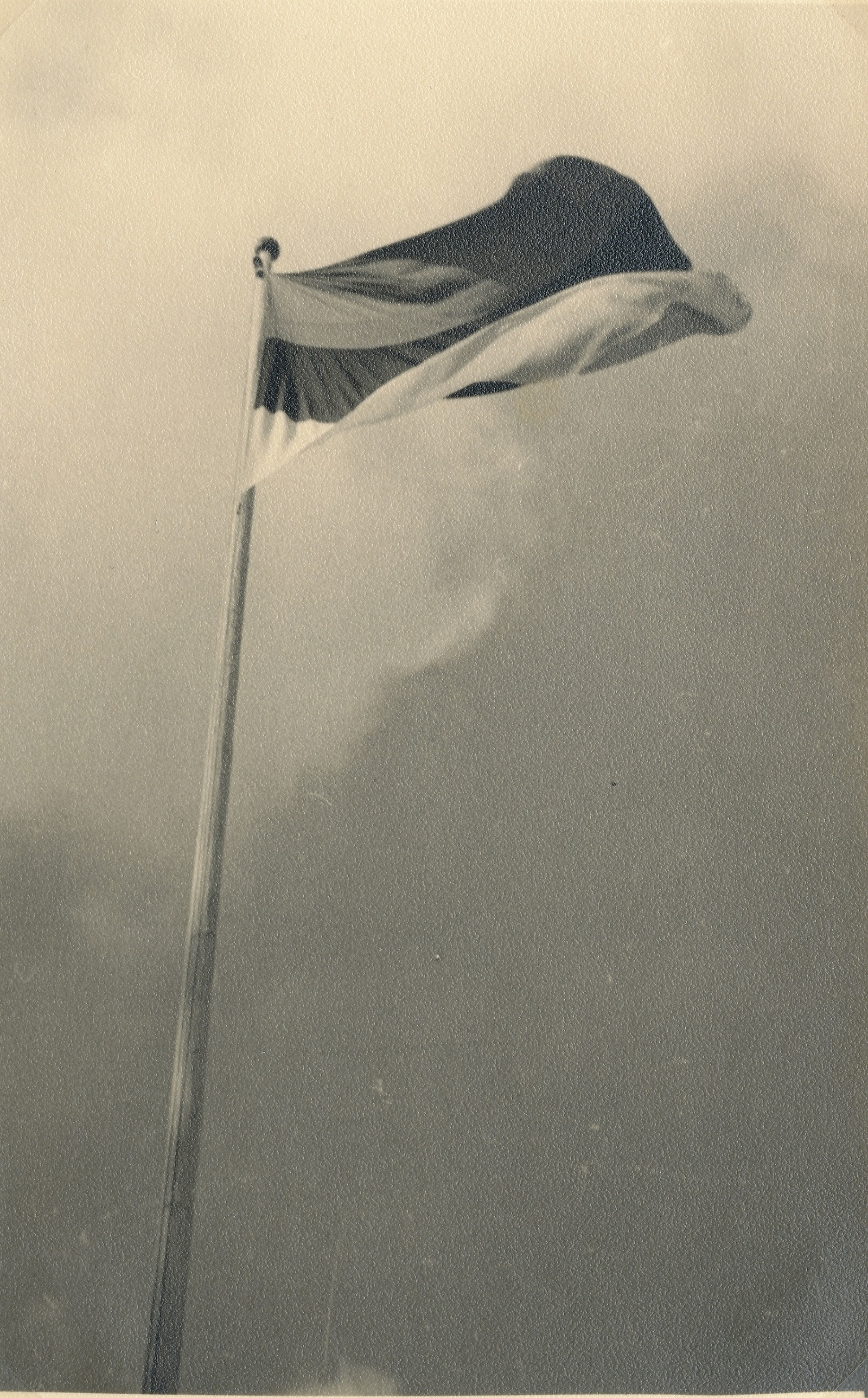 foto, Vahikompanii nr. 4221 kuuluv Eesti riigilipp.