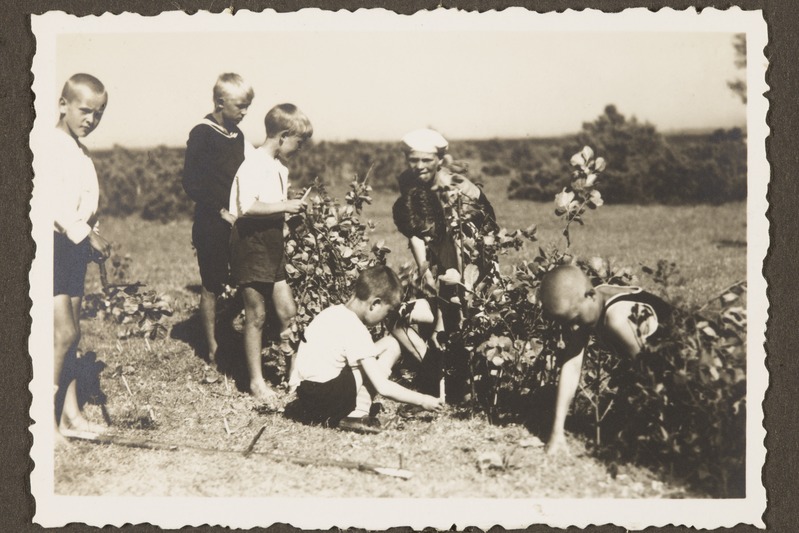 Esimene Tallinna noorkotkaste maleva laager