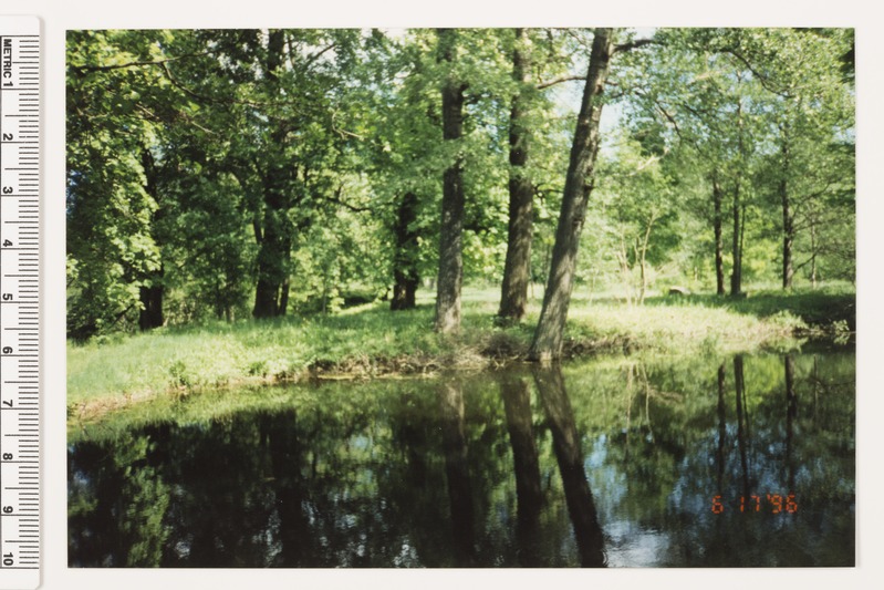 Viimsi mõisa park