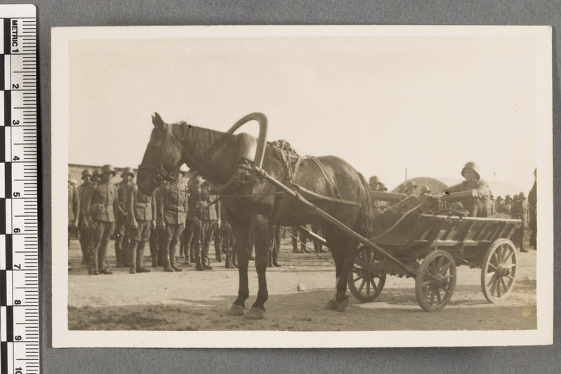 5. Jalaväerügement Rakveres