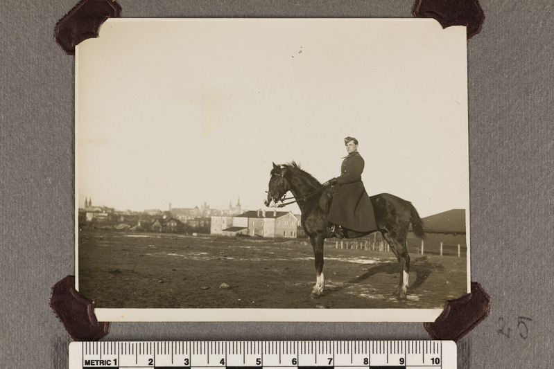 August Jansikene hobusega Tallinna taustal