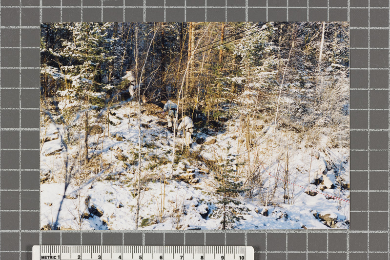 Utria Dessant 2004 (09.01.2004)