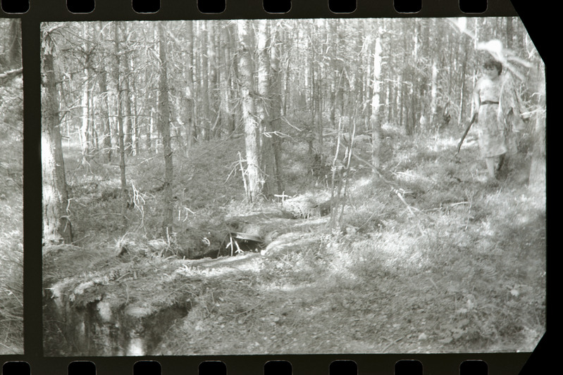 Tahkuna 12" patarei elektrigeneraatorite jahutusbasseinid, 1988