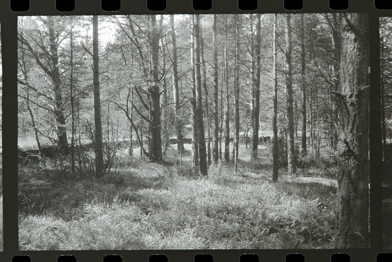 Tahkuna 12" patarei 3. suurtüki abibloki betoonkonstruktsiooni äär