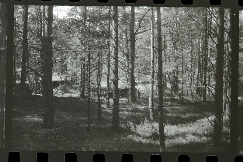 Tahkuna 12" patarei 3. suurtüki abibloki betoonkonstruktsiooni äär kirdest