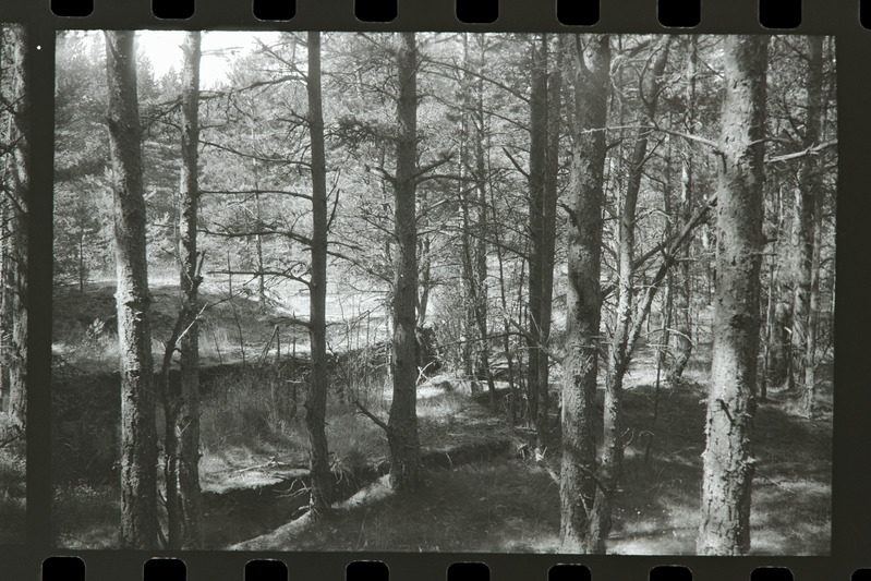 Tahkuna 12" patarei 3. suurtüki alus