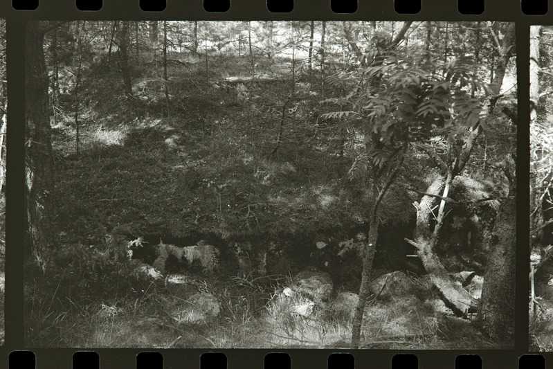 Tahkuna 12" patarei kütusehoidla säilinud postid, 1987