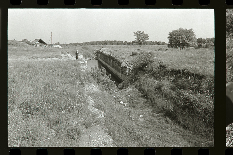 Üksik rooduvarjend Liikva suunal, 1987