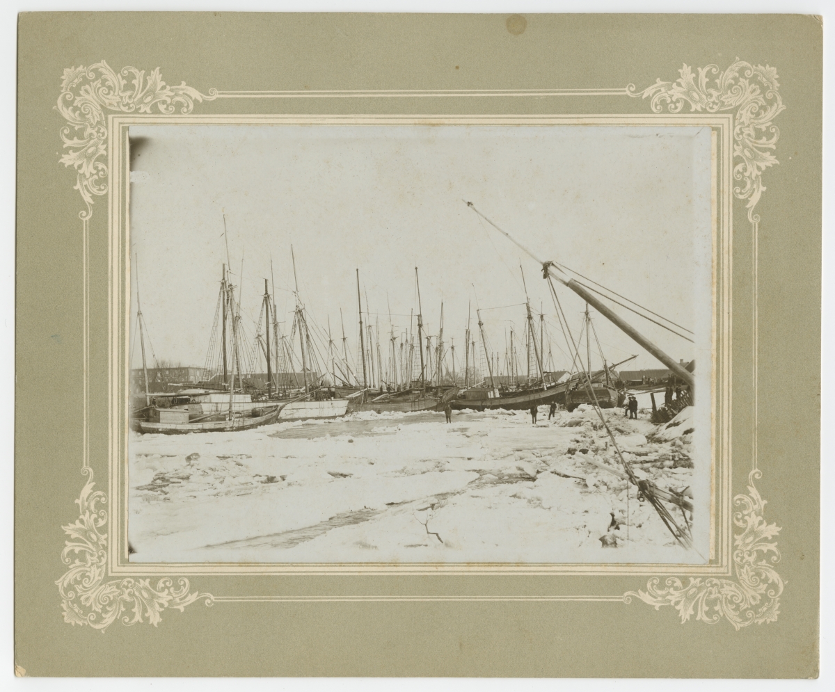 Purjelaevad Sauga jõel