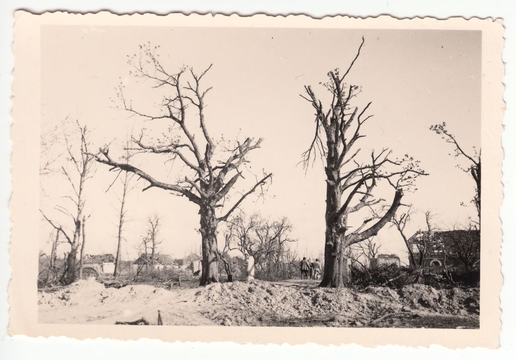 sõjast või tormist räsitud raagus puud