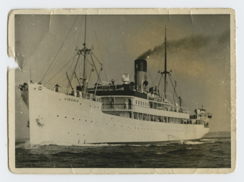 reisiaurik "Vironia" merel
